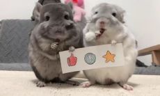 在仙缘梦境中解梦：穿越回古代举行婚礼，算卦先生也难以洞悉未来！