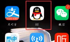 利用网络查询星座运势（Online Astrology Forecast Check）