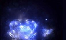 摩羯座的职业发展道路：哪些工作适合摩羯座的个性特点和工作习惯？是否适合在工作中饮酒？