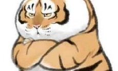 从男生角度探究：双鱼座对待爱情的态度与其女性对等之处