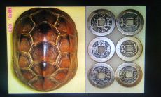 使用几枚铜钱进行龟壳占卜的方法及步骤（如何根据铜钱进行龟壳占卜）