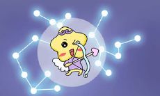 射手座与水瓶座的爱情关系：谁更智慧？探析射手座如何体现对水瓶座的情感之爱与理解