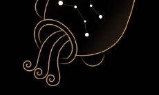 水瓶座女性的面容阐述：她们是否拥有出众的颜值？