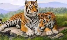 请问2023年12月8日对应哪个生肖？（另外，2023年8月对应的生肖是什么？）