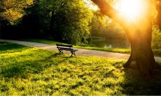 为何双鱼座的控制欲如此强烈，尤其是对于身体的占有欲在双鱼男身上表现得尤为明显？