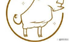 如何应对射手座恋人的冷漠行为：探讨射手座在恋爱中表现冷漠的原因及应对方法