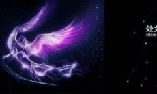 揭秘处女座女生惊人理智特质，描绘她们对于爱情的细腻追求，谨慎而专注的态度，并分析其真正匹配的星座类型