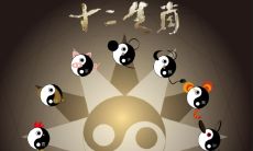 了解属鸡人今年的年龄，查看详尽的属鸡年龄表 - 十二生肖属鸡今几岁了？