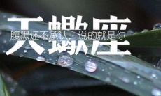 如何从天蝎女的眼神中获取她对你的喜欢信号并抓住她允许你追求的暗示？