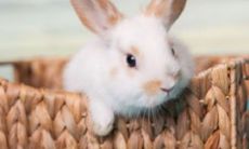 在了解浠字命名的意义与特点并进行真正免费的姓名测试打分