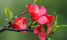 如何通过面相判断一个女人脸型上宽下窄的特征？