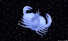 12星座心软指数排行——揭示每个星座善良程度的详尽解析（哪个星座被评为最不友善）