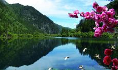 根据风水学，属牛的人在何楼居住可以获得最佳运势？（以97年属牛为例）