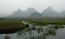 深入探讨风水中的阴阳相生相克与和合之道，提供免费的四柱八字排盘服务