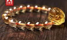 属虎的人财位在哪里（生肖虎的财位在哪个方向）