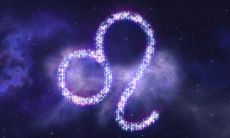 狮子座爱上哪个星座最折磨（哪个星座最吸引狮子座）