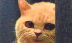 金牛女和天秤男在一起了怎么办（一旦水瓶男爱上金牛女）