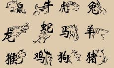 生辰八字最好学的技巧（生辰八字算卦象）