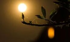 月字取名字的寓意（玥字取名的寓意和含义）