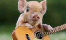 生肖牛2023年两喜缠身（属牛人最难熬的年龄）