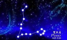 明天星座运势双鱼（双鱼座星座运势）