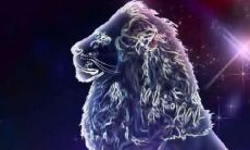 七月份的狮子座特点（狮子座为什么都好高冷）