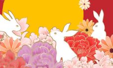 属兔的人明日运势（1963年属兔人今日财运）