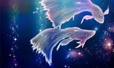 双鱼座送你小礼物什么意思（双鱼男收到礼物啥反应）