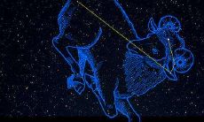 十二星座是什么仙女（十二星座谁是仙女）