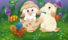 1975属兔女性格特点（1975年属兔人的性格和脾气）