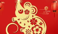 属鼠男的一生有几次婚姻（1987每属兔一生有二婚）