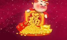 属猪的是1935年生的吗（1935年属猪女人寿命）