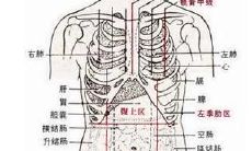 五行图与五脏六腑的理论（五行与五脏的关系图）