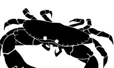 哪个星座的女人最好睡（哪些星座女能把人迷疯）