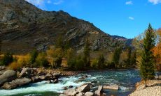 十神大运断口诀（八字断大运流年流月技术）