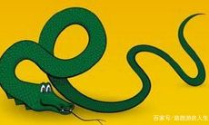 属蛇的人是不是爱睡觉（属蛇的人吃什么东西最好）