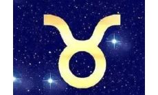 金牛座是哪一个月份的（金牛座什么排第一）