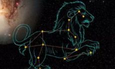 狮子座女本周的运势（狮子座女生性格特点）