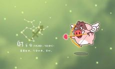 射手座男生性格花心吗（射手座男生性格脾气）