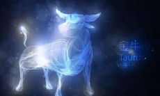 金牛座把你当朋友还是喜欢的人（金牛座对朋友和喜欢的人差别）