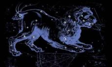 头脑聪明的星座（十二星座最喜欢什么课）