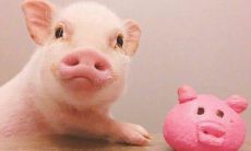 金牛座几天不联系算彻底死心（金牛男能几天不联系喜欢的人）