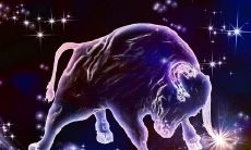 冷淡金牛座男会怎样（金牛座男和天蝎座女）