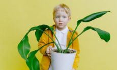 女孩取名寓意健康快乐的字（沐字取名女孩）