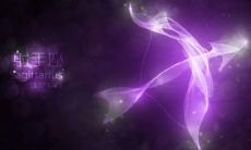 摩羯座哪个月份出生的（几号出生射手座最厉害）