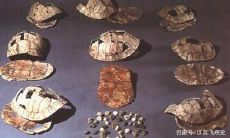 蛋壳占卜准吗（占卜真的准吗）