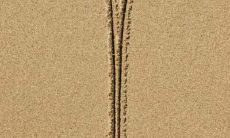 对白羊男好会不会被误会（对白羊男太好是什么下场）