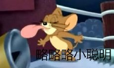 天蝎座和狮子座的婚姻怎么样（天蝎座与狮子座的配对指数是多少）