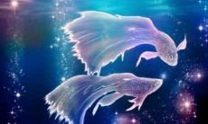 处女座高贵吗（处座男最爱的星座女）