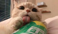 占卜从未停止恋爱从未开始（塔罗占卜下一次恋情多久到来）